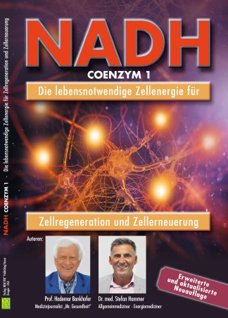 NADH - RATGEBERBUCH 2025
